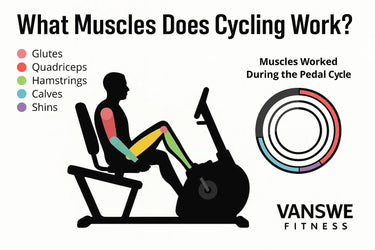 Diagram of muscles used during cycling on a recumbent bike. Highlights glutes, quadriceps, hamstrings, calves, and shins in different colors. Includes circular chart showing muscle engagement throughout the pedal cycle.