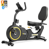 RB405 is the best home recumbent bike in Vanswe product line