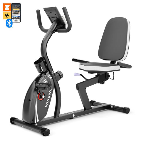 Vanswe RB407 recumbent bike for seniors
