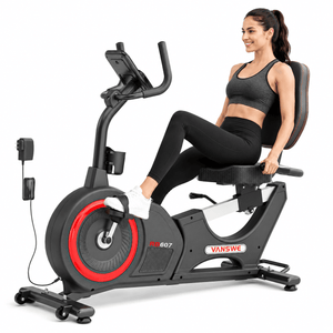 Vanswe RB607 Electric Magnetic Recumbent Bike - 450 LB Capacity
